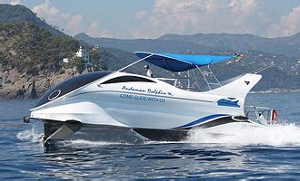 Andaman Dolphin