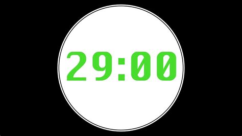 29 Minute Timer - 4K 60 FPS - YouTube