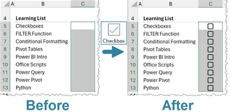 Image result for Checkboxes in Excel Guide