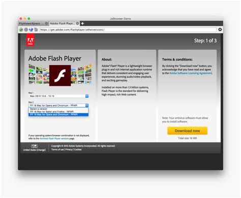 Adobe Flash Player 32 PPAPI 的图像结果