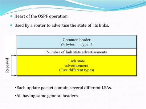 Image result for Open Shortest Path First OSPF Tutorial