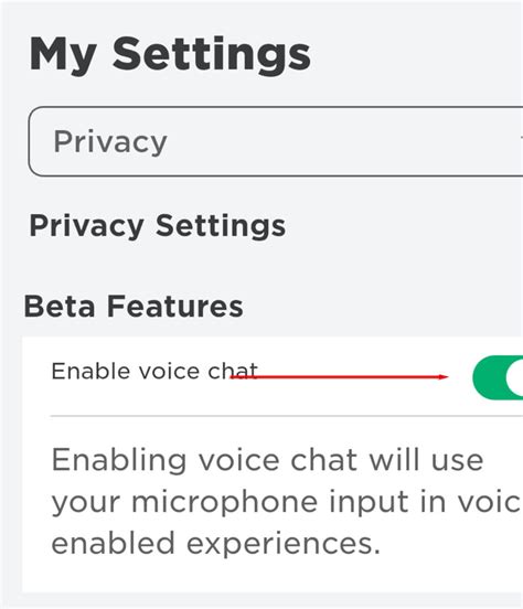 How to Enable Voice Chat On Roblox New Update 的图像结果