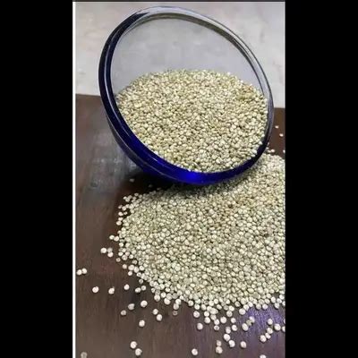 Buy Quinoa Seeds online at best price | ZOHAN ENTERPRISES