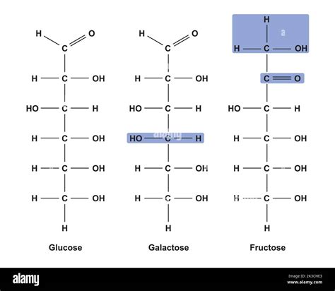 Linear Structure Of Galactose