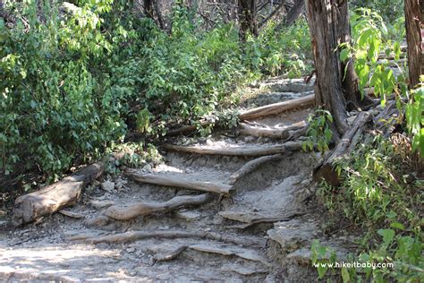 Austin.com Park Profile: Turkey Creek Trail at Emma Long Park