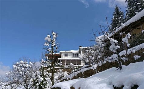 Hatu Peak In Shimla Is A Dream Weekend Getaway From Delhi