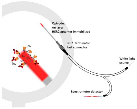 Cortisol Monitoring Devices toward Implementation for Clinically ...