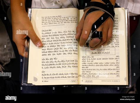 Image result for Torah Reading Tutorial