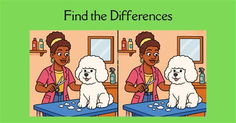 Spot 3 Differences in Groomer Cutting Dog’s Hair- Can You Find Them in ...