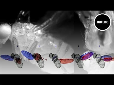 Image result for Machine Learning Wing Design