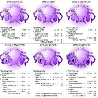 Image result for Computer Input and Output Devices Worksheet