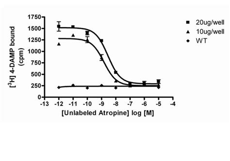 ChemiSCREEN™ Human M3 Muscarinic Acetylcholine Receptor Membrane ...