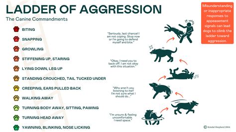 Sign of Aggression in Dogs | Everything You Need to Know