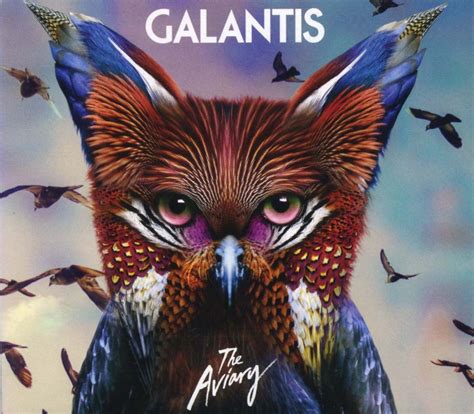 GALANTIS - The Aviary [CD] | KITOWW