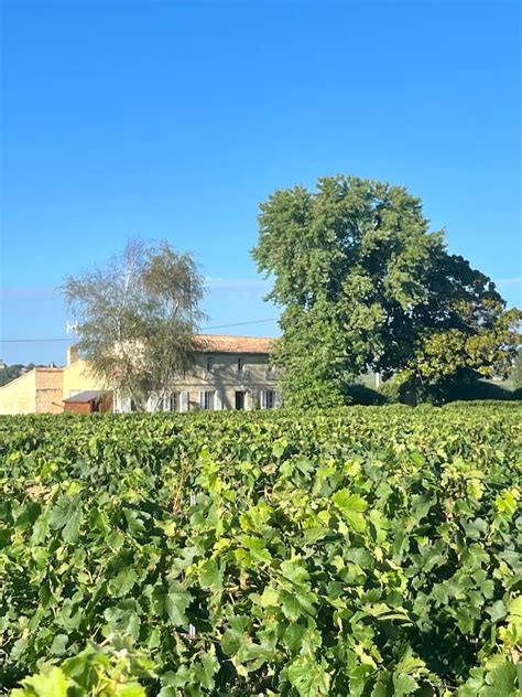 La Petite Maison in the vineyards - Houses for Rent in Saint-Émilion ...
