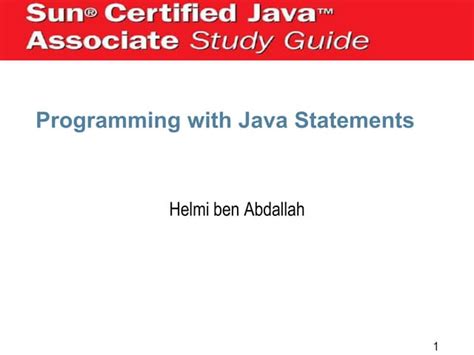 Java Programming 2 的图像结果