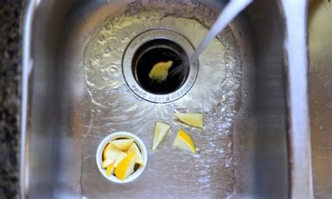 Image result for Garbage Disposal Cleaning