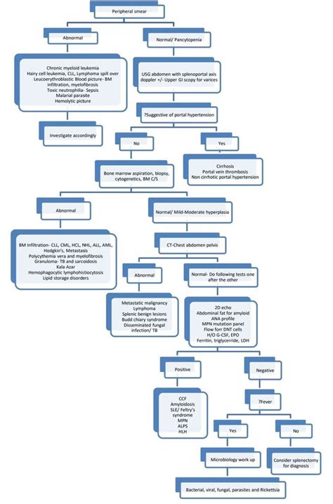 Splenomegaly - howitreat.in
