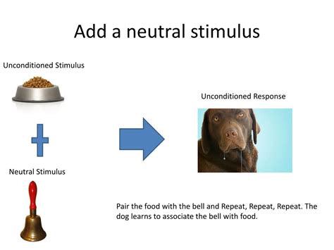 PPT - Classical Conditioning PowerPoint Presentation, free download ...