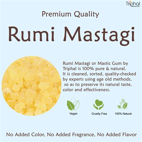 Rumi Mastagi - Mastic Gum - Pistacia Lentiscus | Pure Gum by Triphal