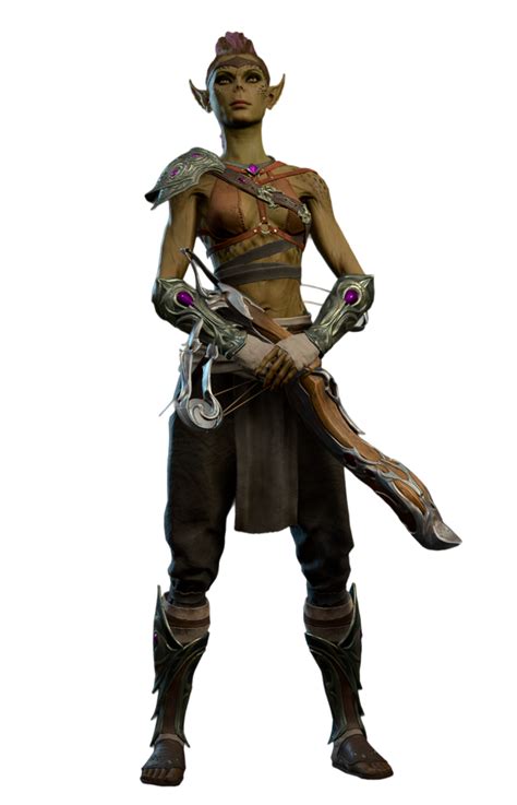 Raider - bg3.wiki