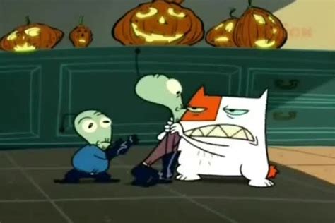 Image result for Scared Scratch Cat