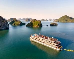 Buy Corporate Insurance & Personal Insurance Plans | SafeTree