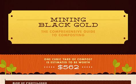 Composting Infographic 的图像结果