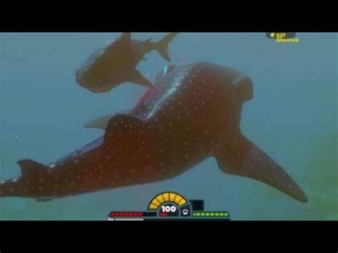 海底大猎杀：鲸鲨嘴太大了吧 连巨齿鲨都可以吞掉 - YouTube