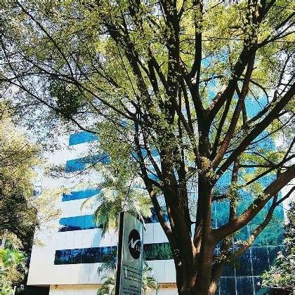 Working at Ness Digital Engineering | Glassdoor