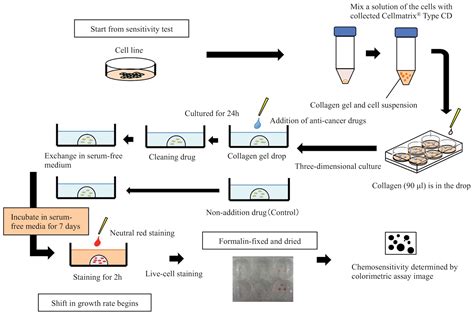 Cell Culture Test Procedure at Kelly Duppstadt blog