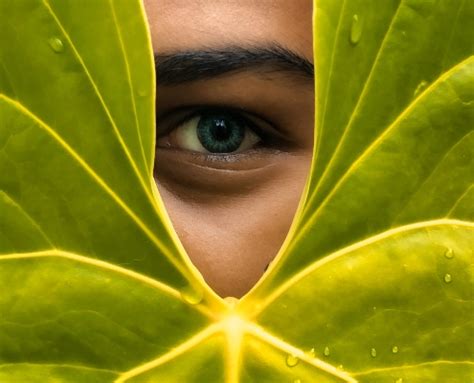 Image result for Solving Eye Problem