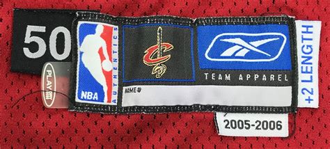 Lot Detail - LeBron James 2005-06 Cleveland Cavaliers Game Used Road ...
