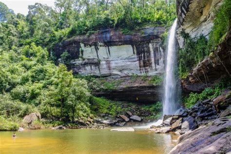 Image result for Amazing Study Tips