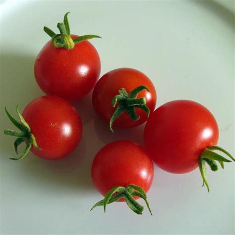 Italian Cherry Tomato 'Ciliegia' (Solanum lycopersicum) seeds