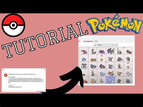 Image result for How to Randomize Omega Ruby with Pkhex