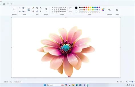 Computer Paint Software 的图像结果