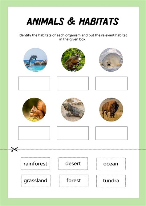 Printable Animal Habitats Worksheets