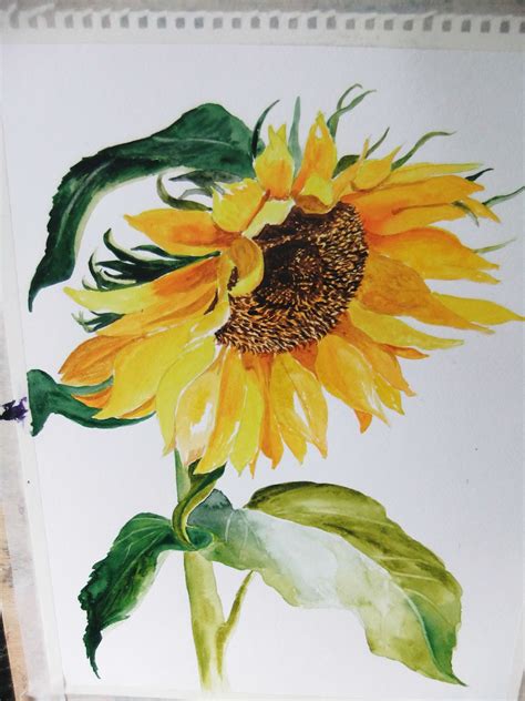 Image result for Watercolour Sunflower Tutorial