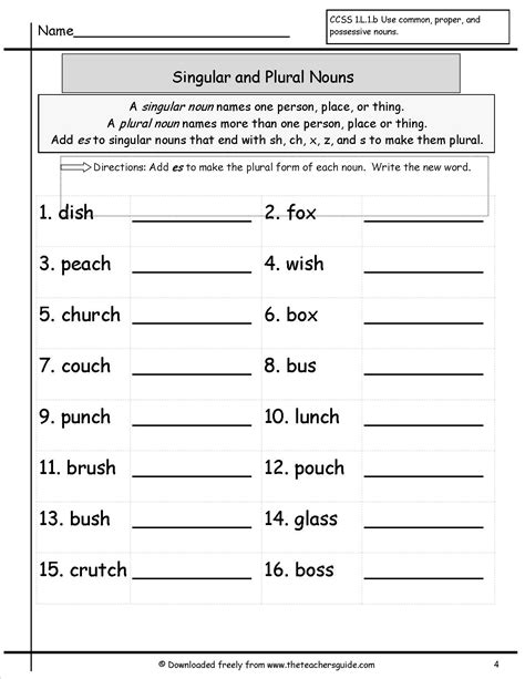 Singular and plural nouns worksheets from the teacher s guide – Artofit