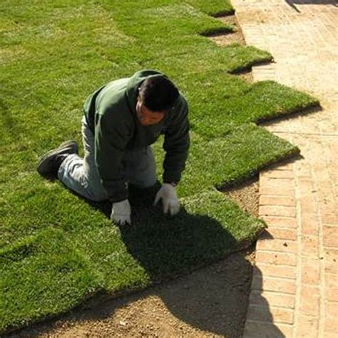 Geoscape | Vertical Garden in Chennai | Terrace Garden in Chennai ...