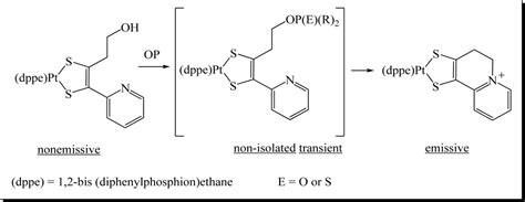 Fluorescent Chemosensors for Toxic Organophosphorus Pesticides: A Review