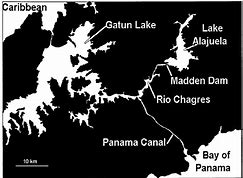 What two bodies of water does the panama canal connect