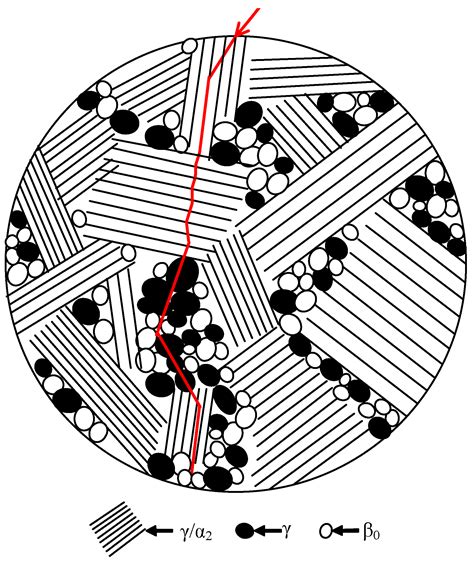 Microstructural Characterization and Crack Propagation Behavior of a ...
