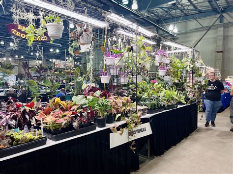 Sacramento Reptile Show | Largest reptile exhibit in Northern California