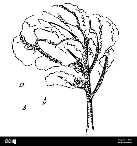 Simple Ink Drawings Of Trees