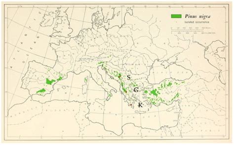 Sustainability | Special Issue : Climate Adaptive Reforestation and ...