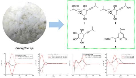 New Meroterpenoids and α-Pyrone Derivatives Isolated from the Mangrove ...