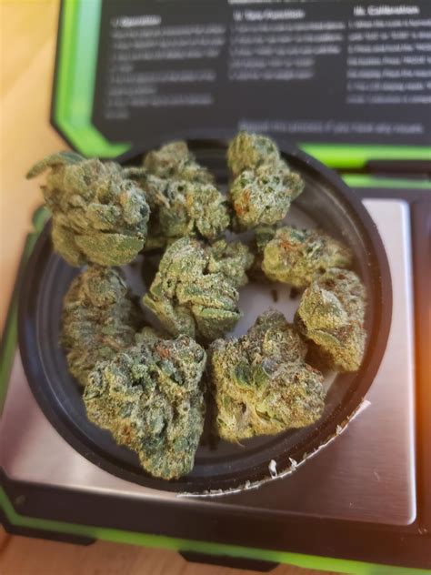 Sunset Octane, Beach Cake and Rae Bae : r/MDEnts