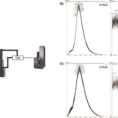 Intact Protein Deconvolution Chromeleon 的图像结果